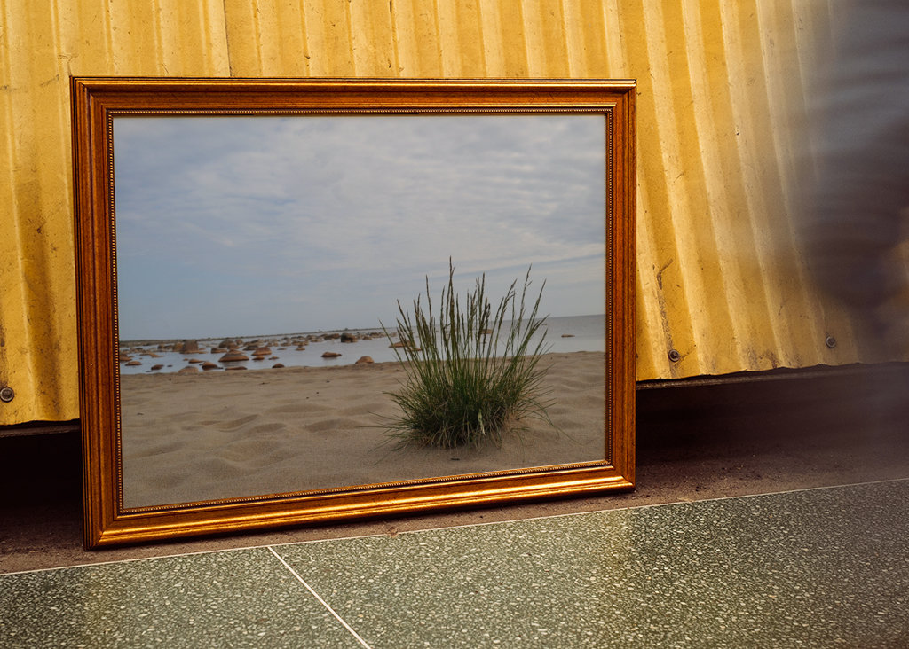 Letni dzień nad morzem