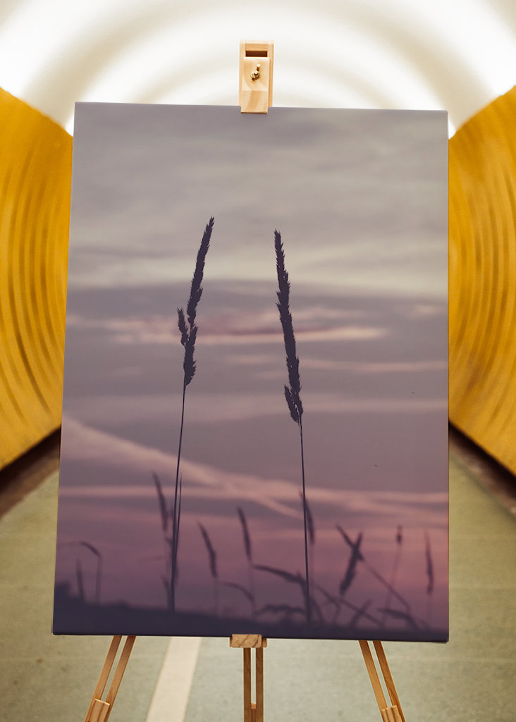 Soirée d’été sur Getterön