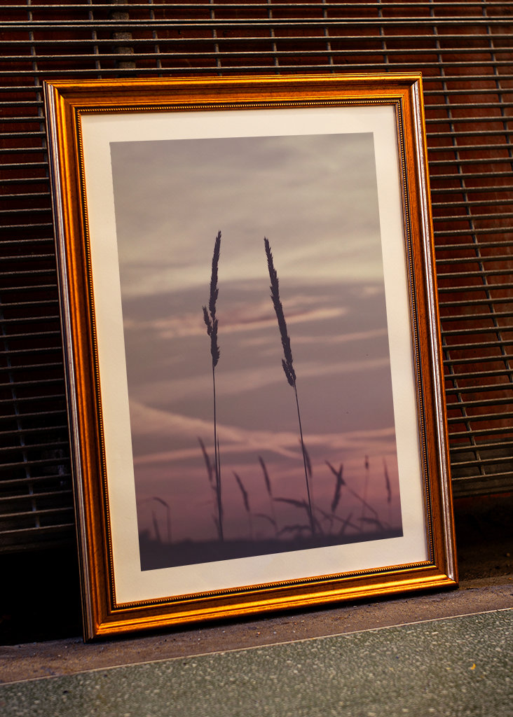 Soirée d’été sur Getterön