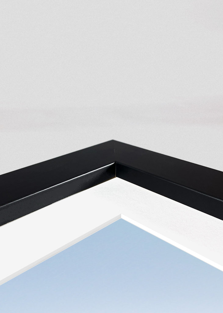 Císařský tučňák chlapec