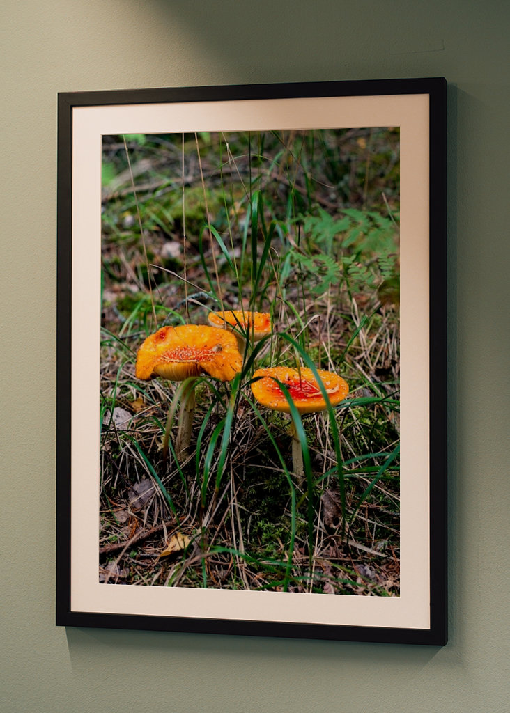 Una seconda colazione