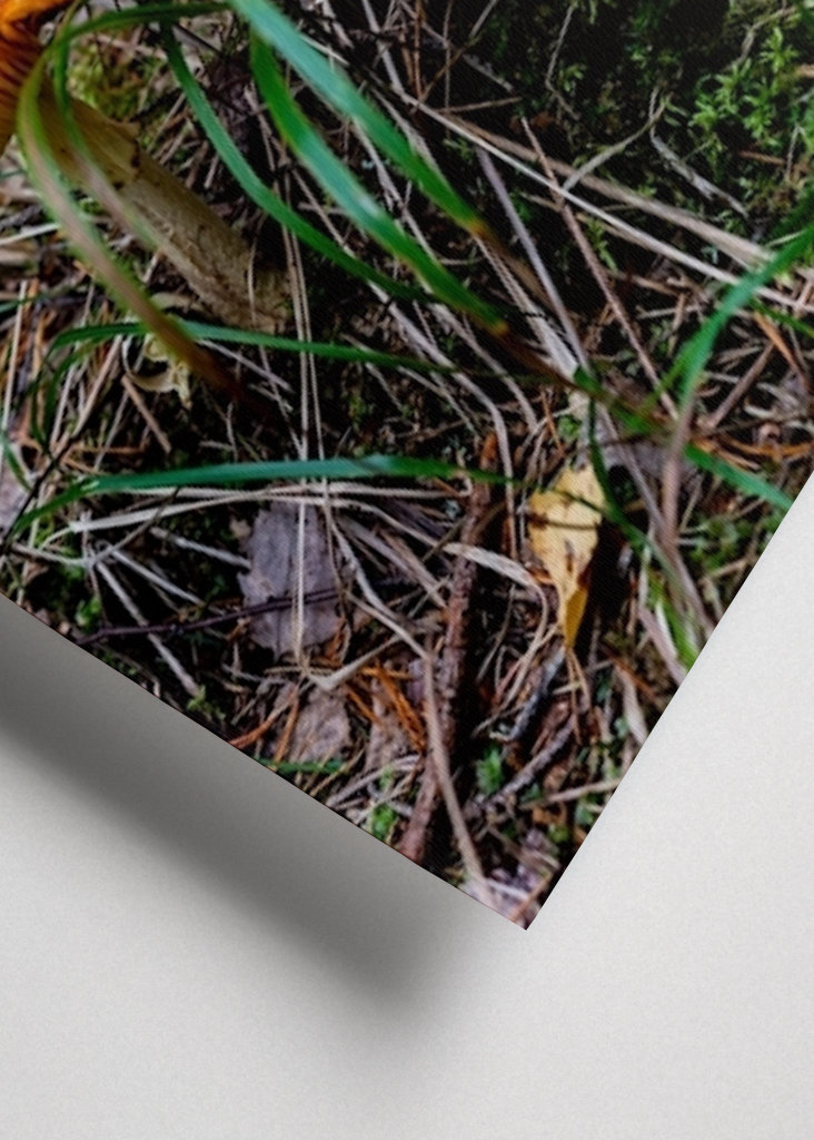 Una seconda colazione