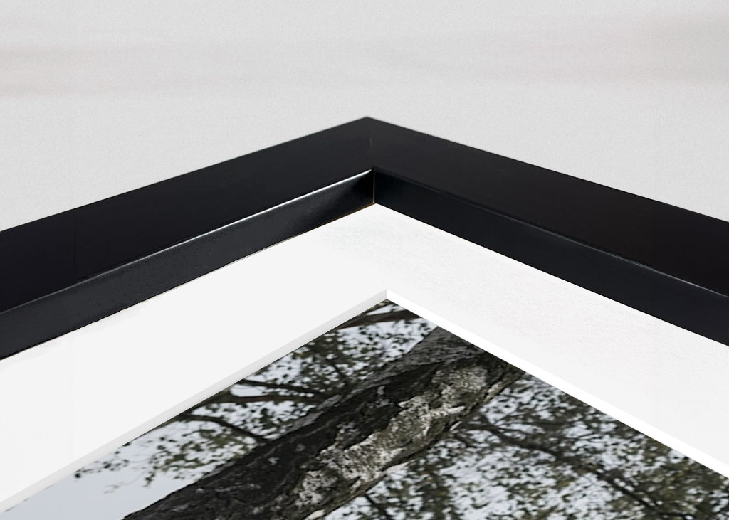 Bétail dans le brouillard