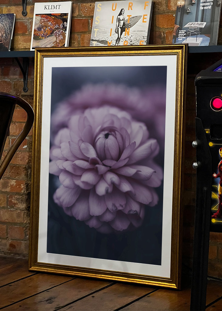 Dahlie im Spätsommer