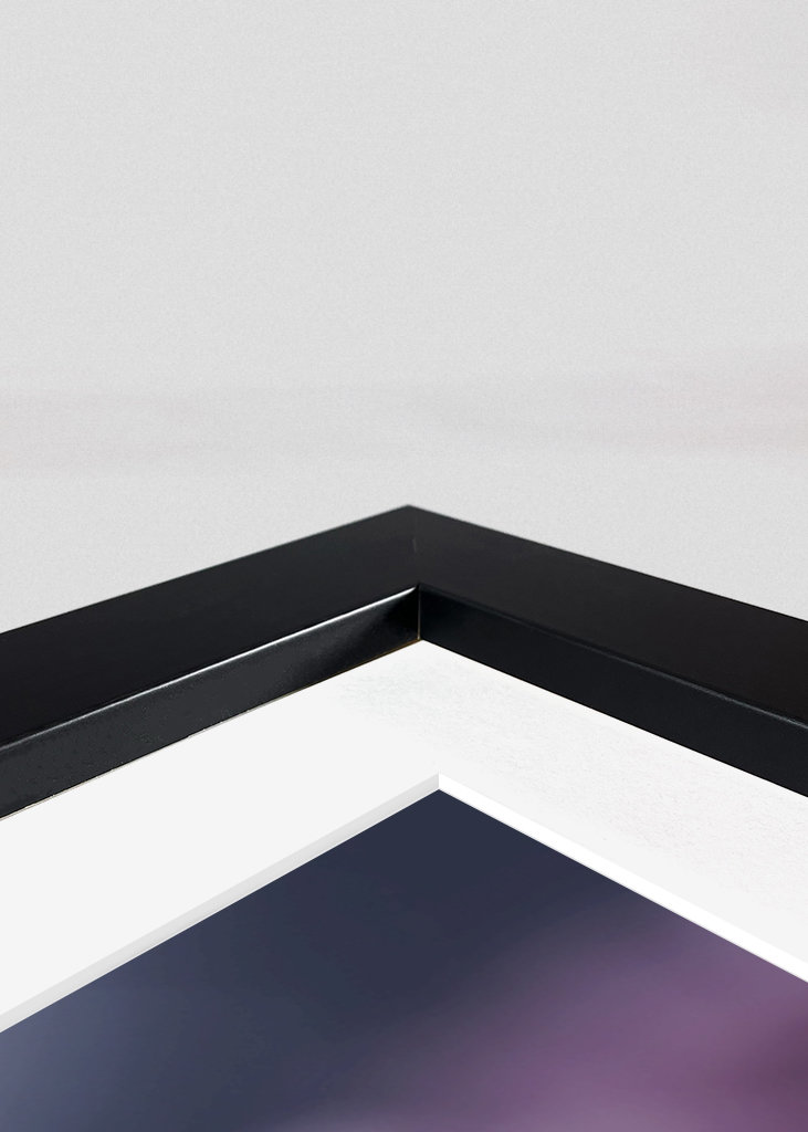 Dahlie im Spätsommer