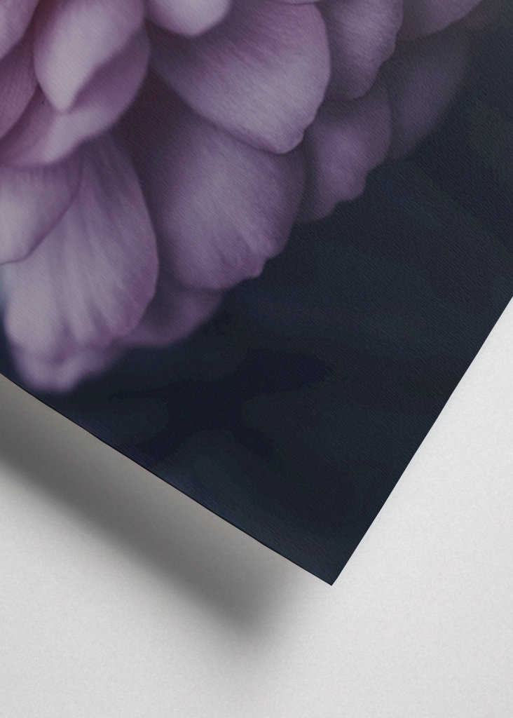 Dahlie im Spätsommer