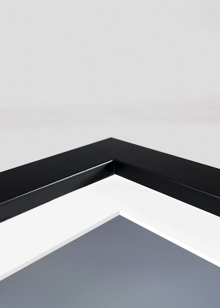 Zimní květina upravit