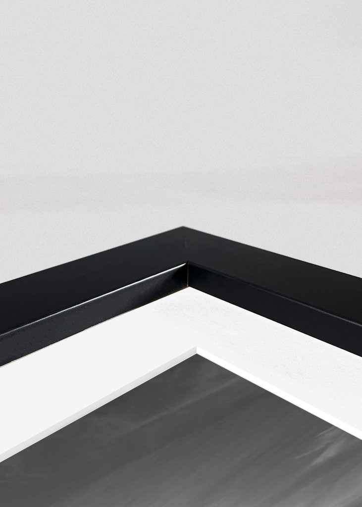 The Golden Gate Bridge