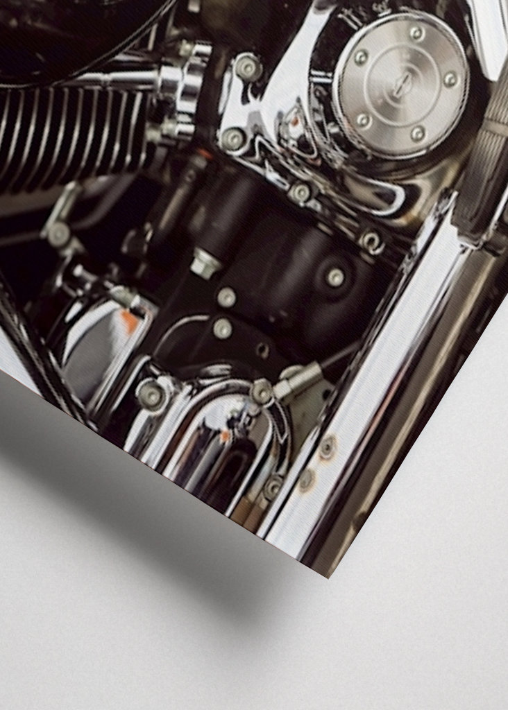 Harley Davidson details