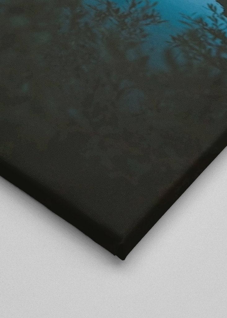 E' tutto così silenzioso.