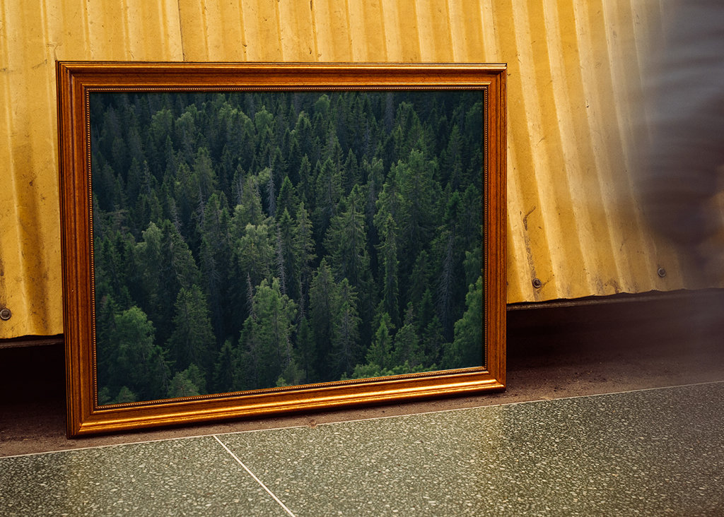 Zielony głęboki las