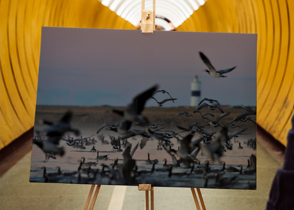 Gås morgen med Långe Jan