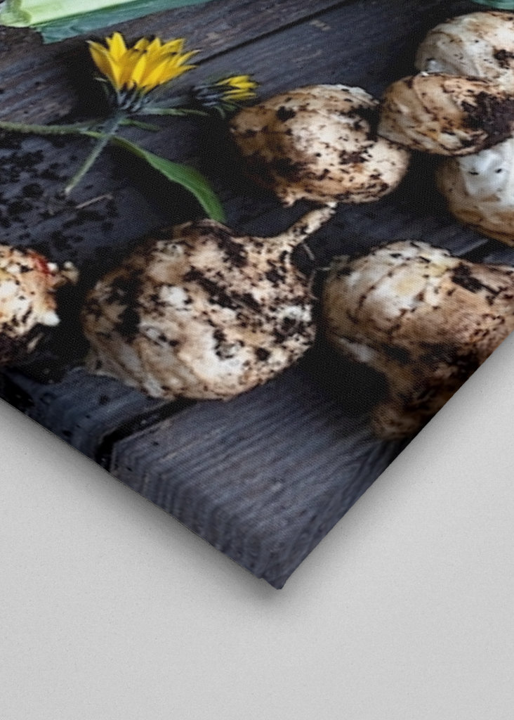 Podzimní sklizeň zeleniny