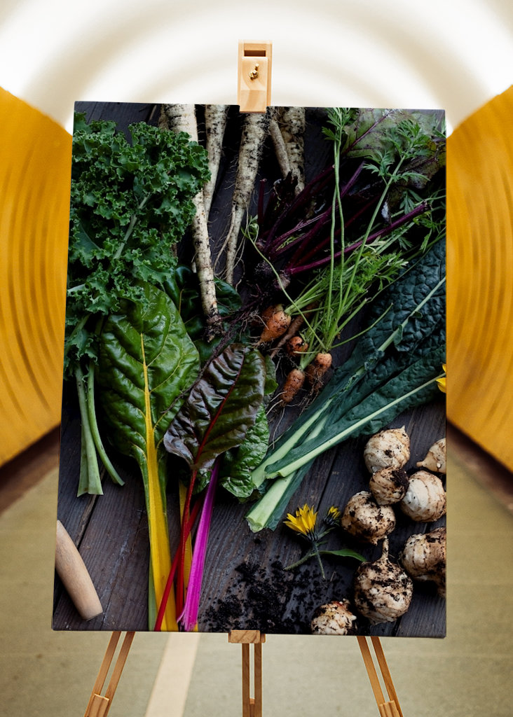 Podzimní sklizeň zeleniny