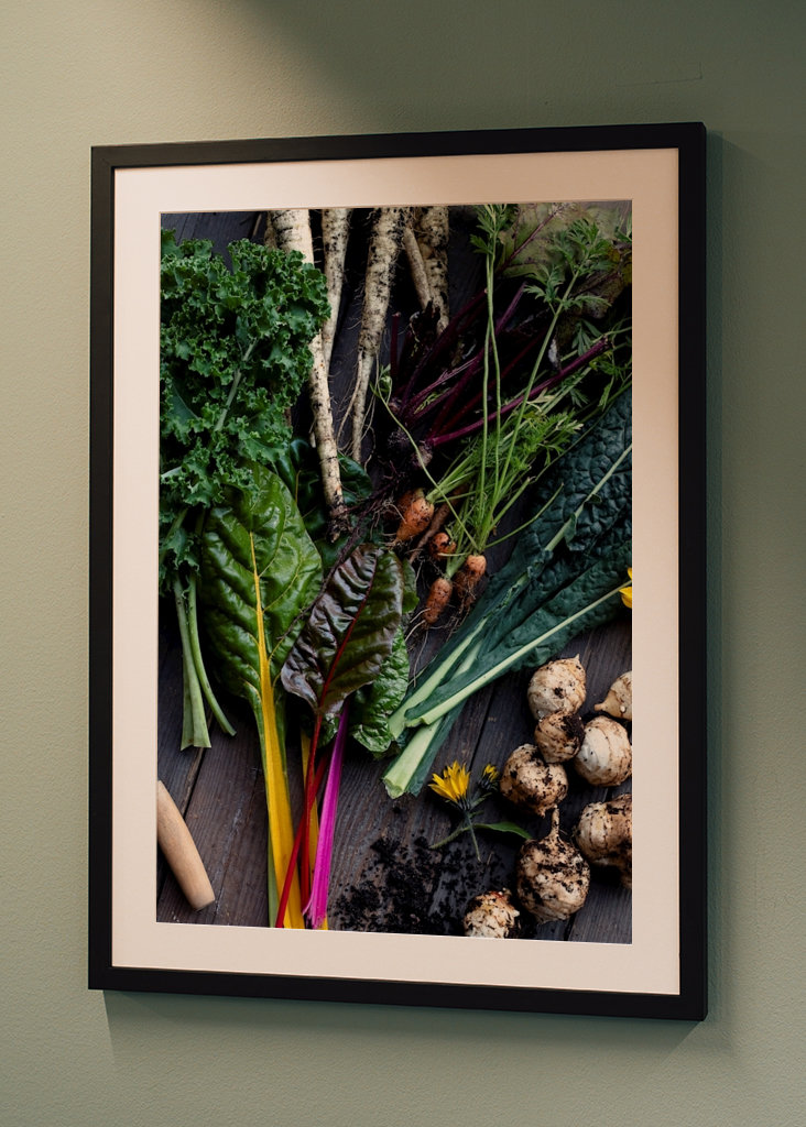 Podzimní sklizeň zeleniny