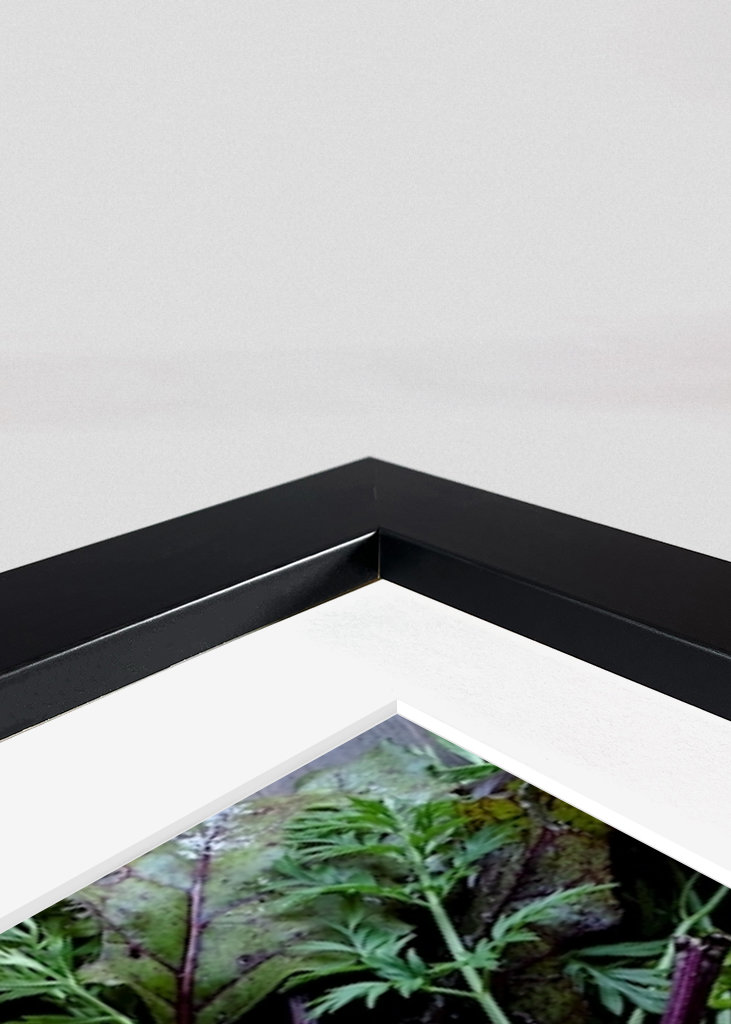 Podzimní sklizeň zeleniny