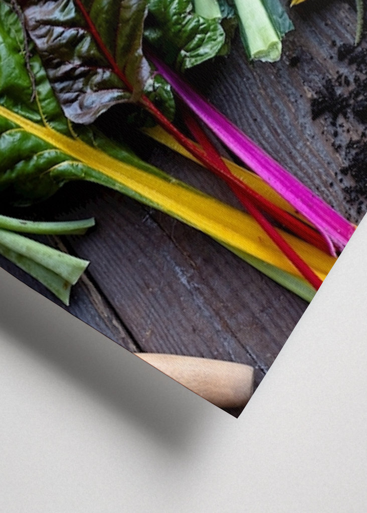 Podzimní sklizeň zeleniny