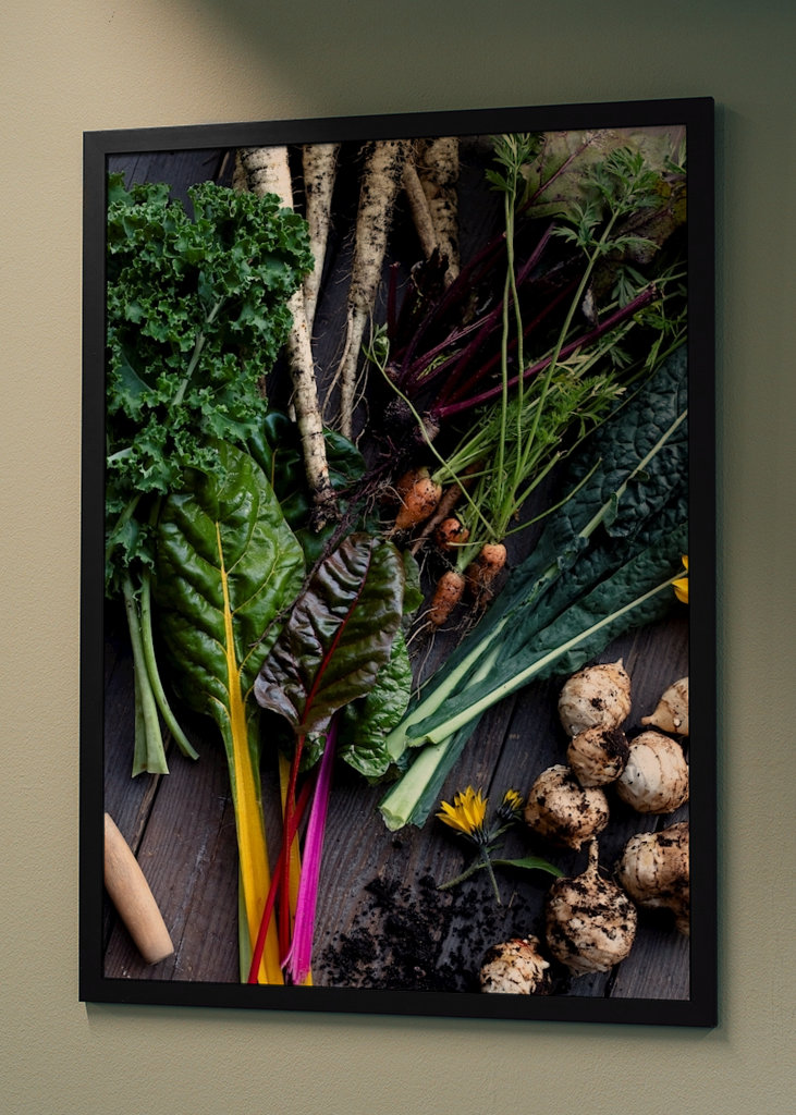 Podzimní sklizeň zeleniny