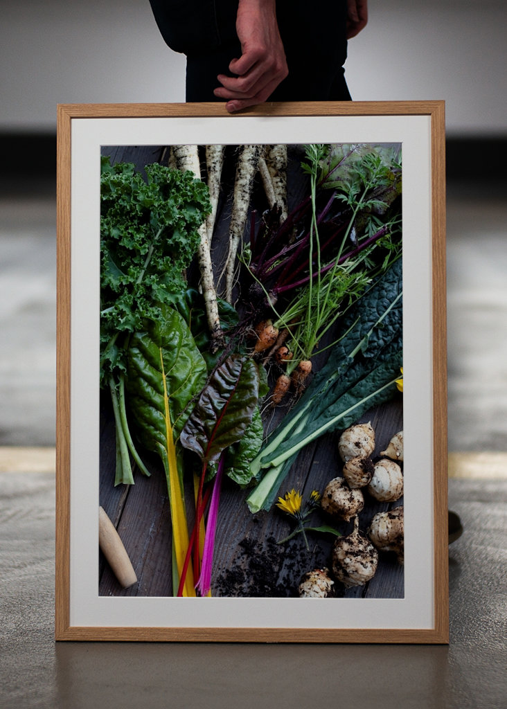 Podzimní sklizeň zeleniny