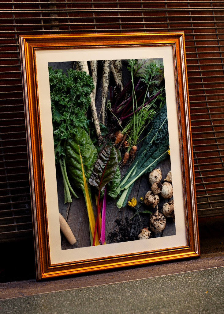Podzimní sklizeň zeleniny