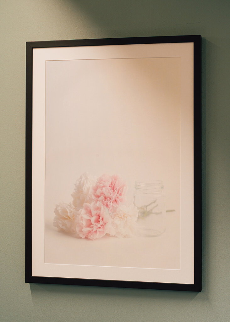 Lyserøde og hvide nelliker 