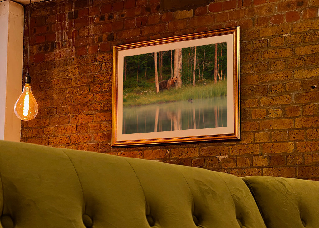 A bear in a beautiful nature