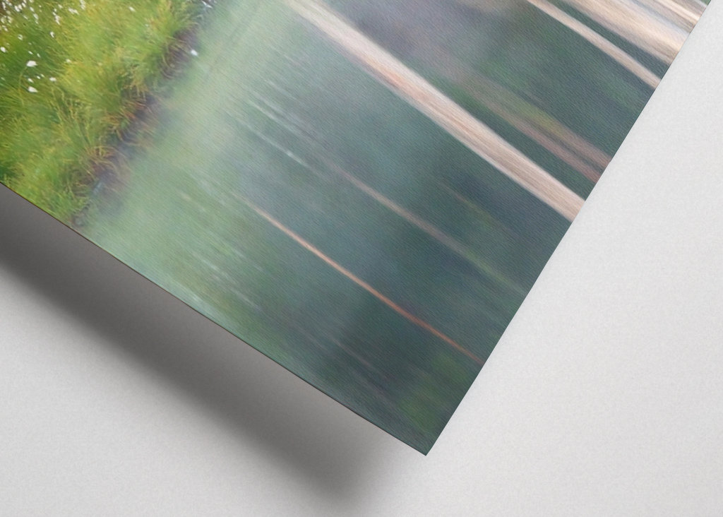 A bear in a beautiful nature