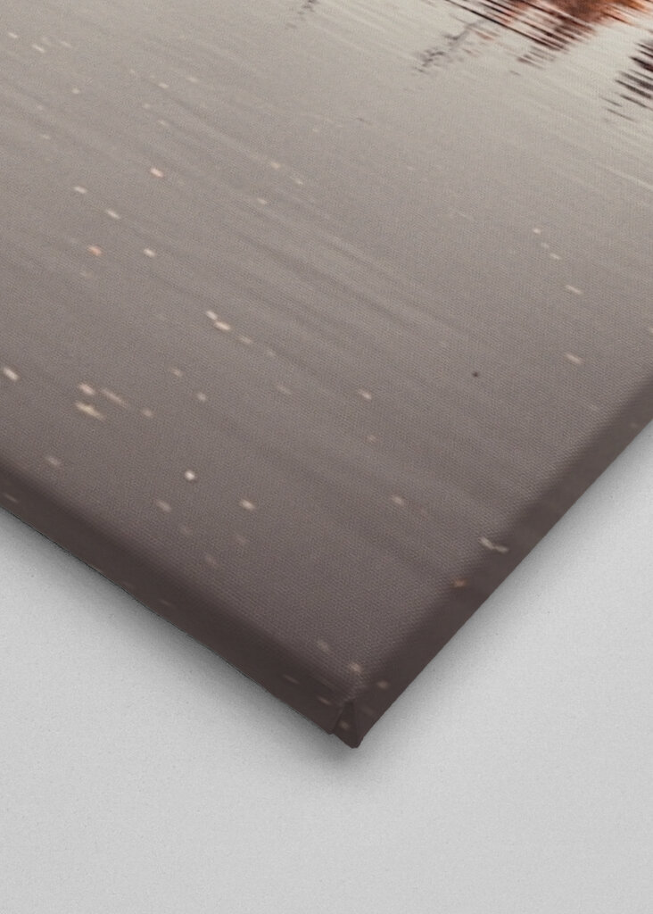 An autumn reflection