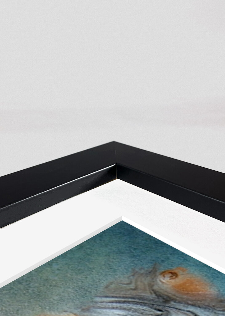 Nas minhas universidades