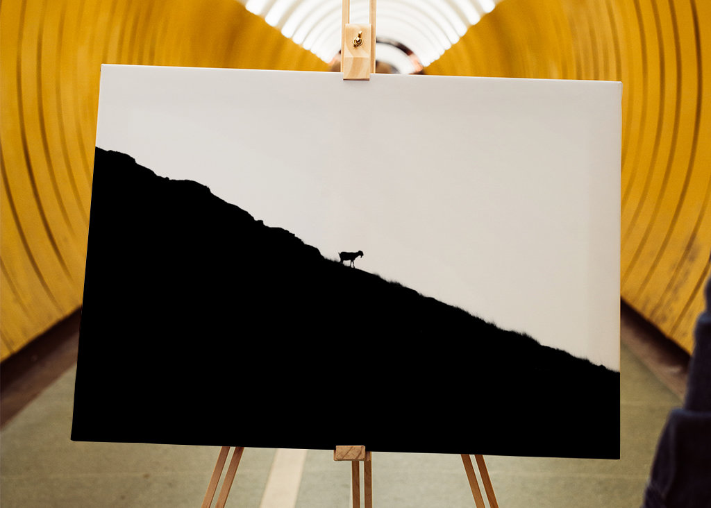 Silhouette de chèvre