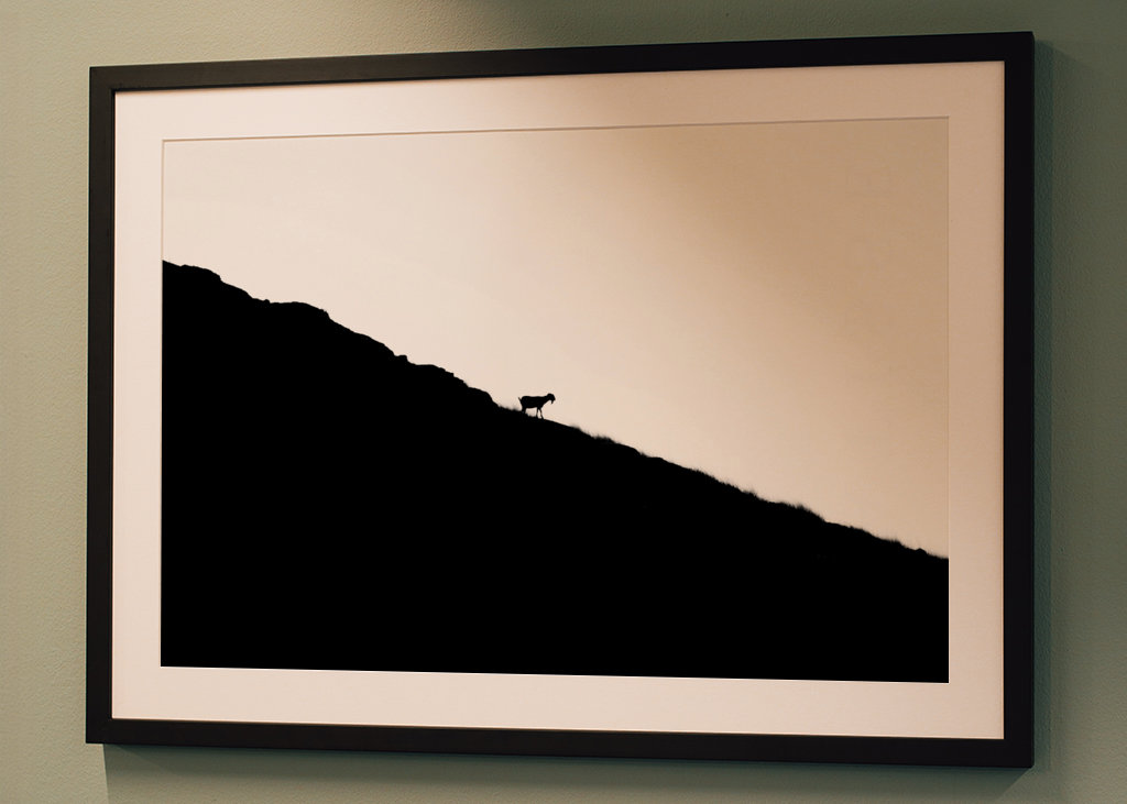 Silhouette de chèvre