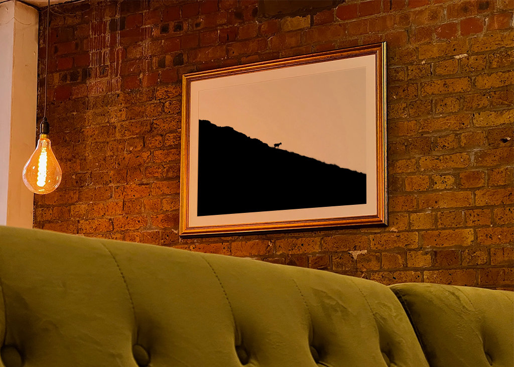 Silhouette de chèvre