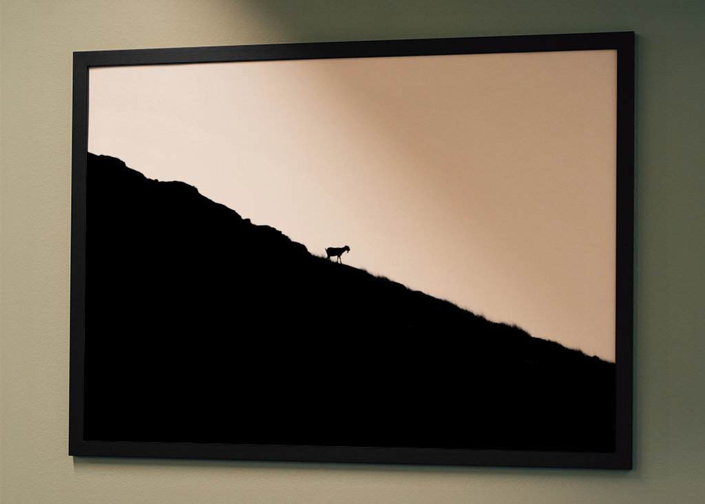 Silhouette de chèvre