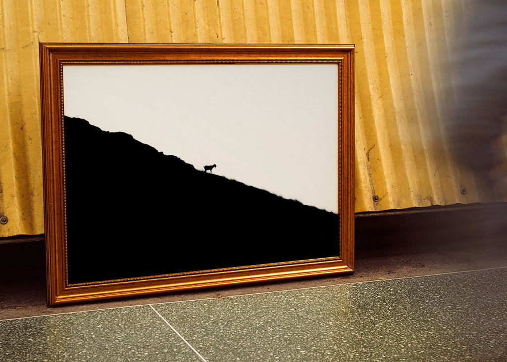 Silhouette de chèvre