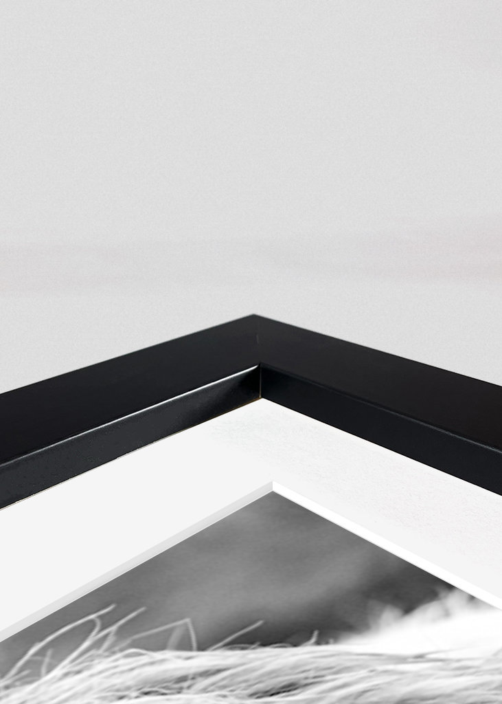 Jeune taureau dans le champ 