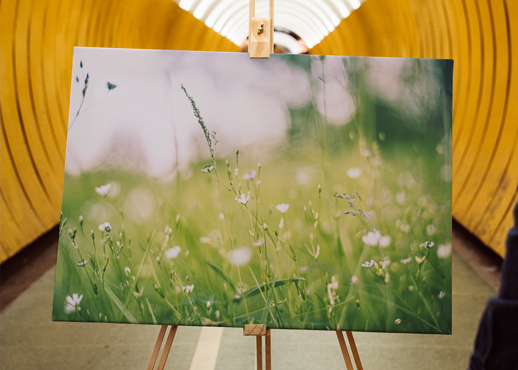 Blízko k přírodě