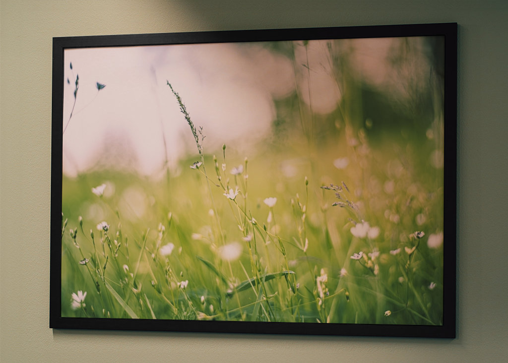 Blízko k přírodě