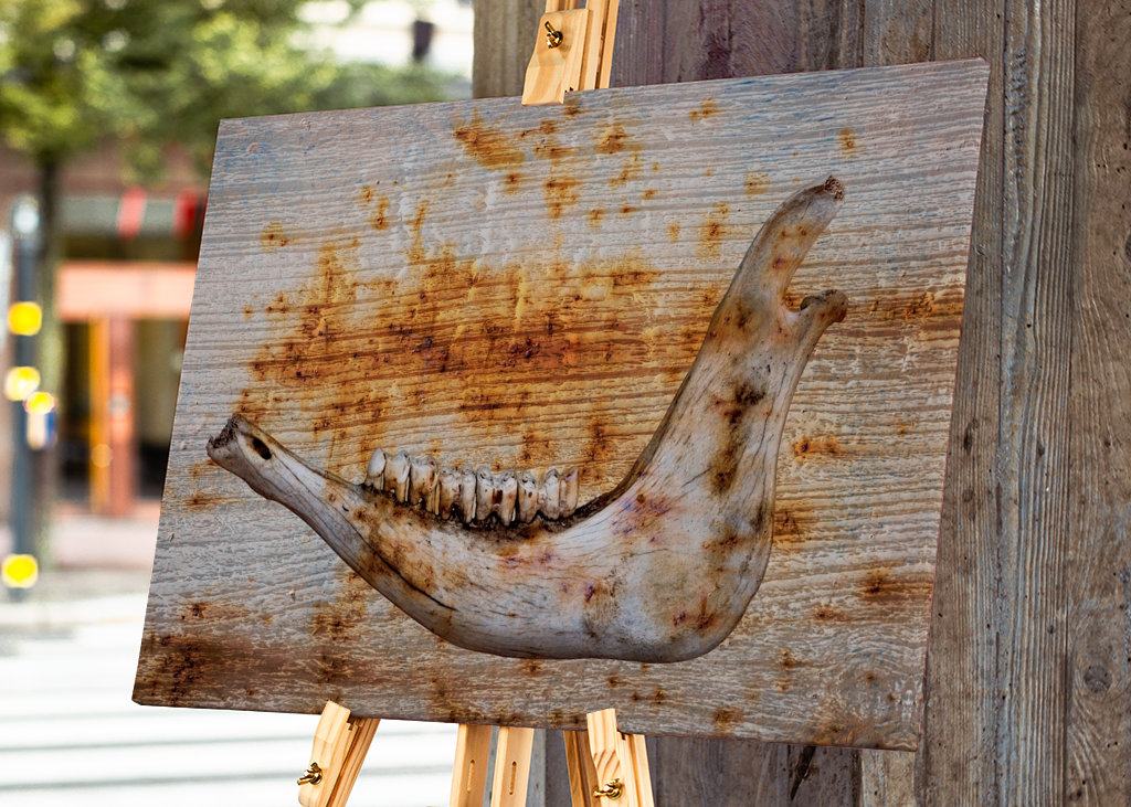 Čelist na rezavém dřevě