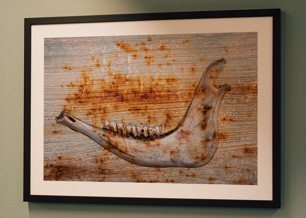 Čelist na rezavém dřevě