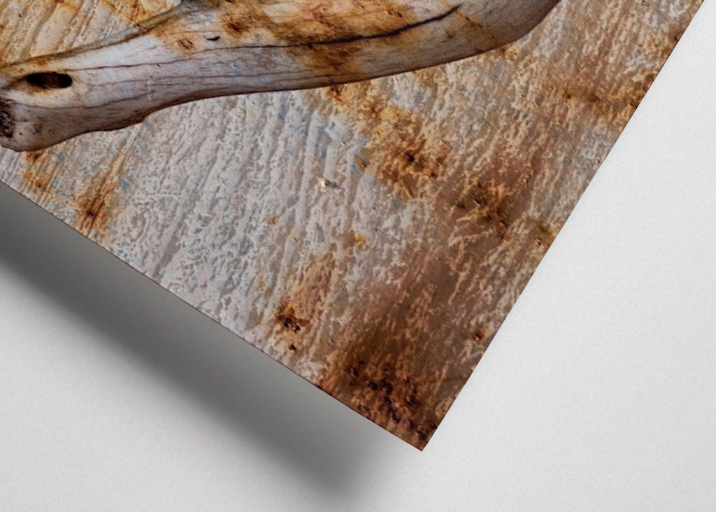 Čelist na rezavém dřevě