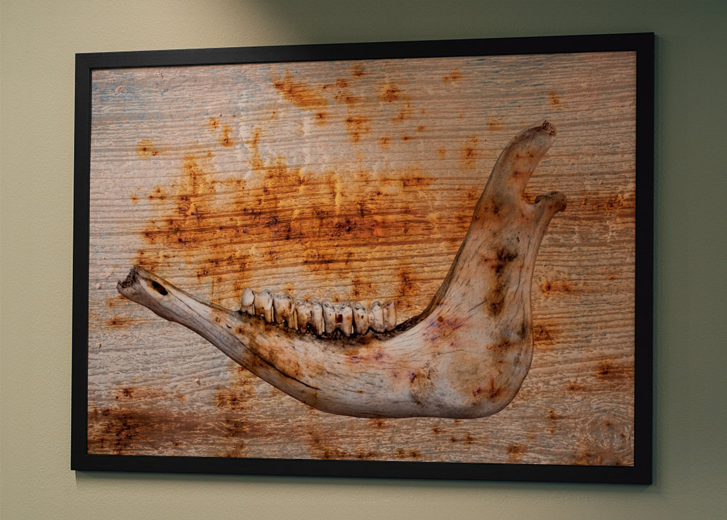 Čelist na rezavém dřevě