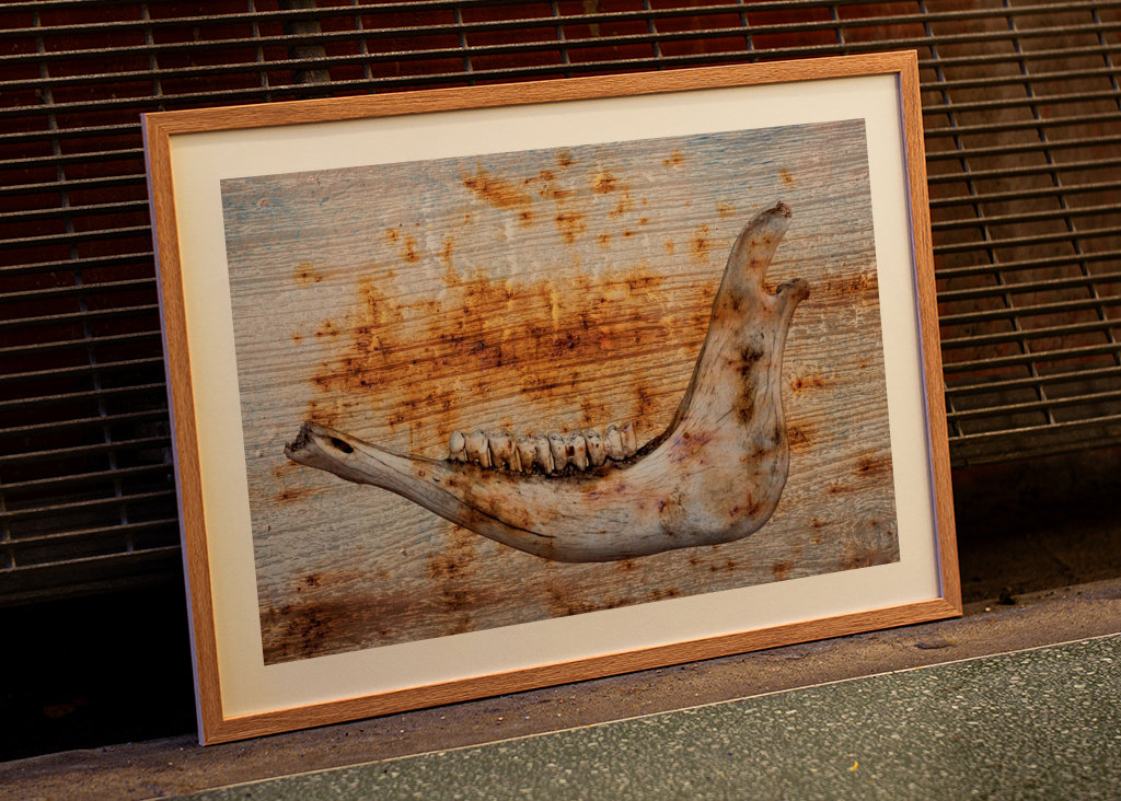 Čelist na rezavém dřevě