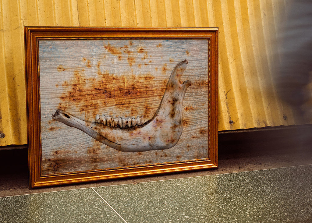 Čelist na rezavém dřevě