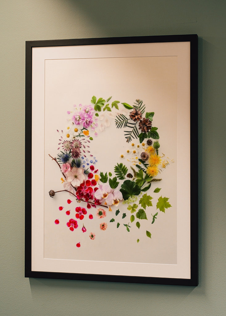 De kroon van de bloem