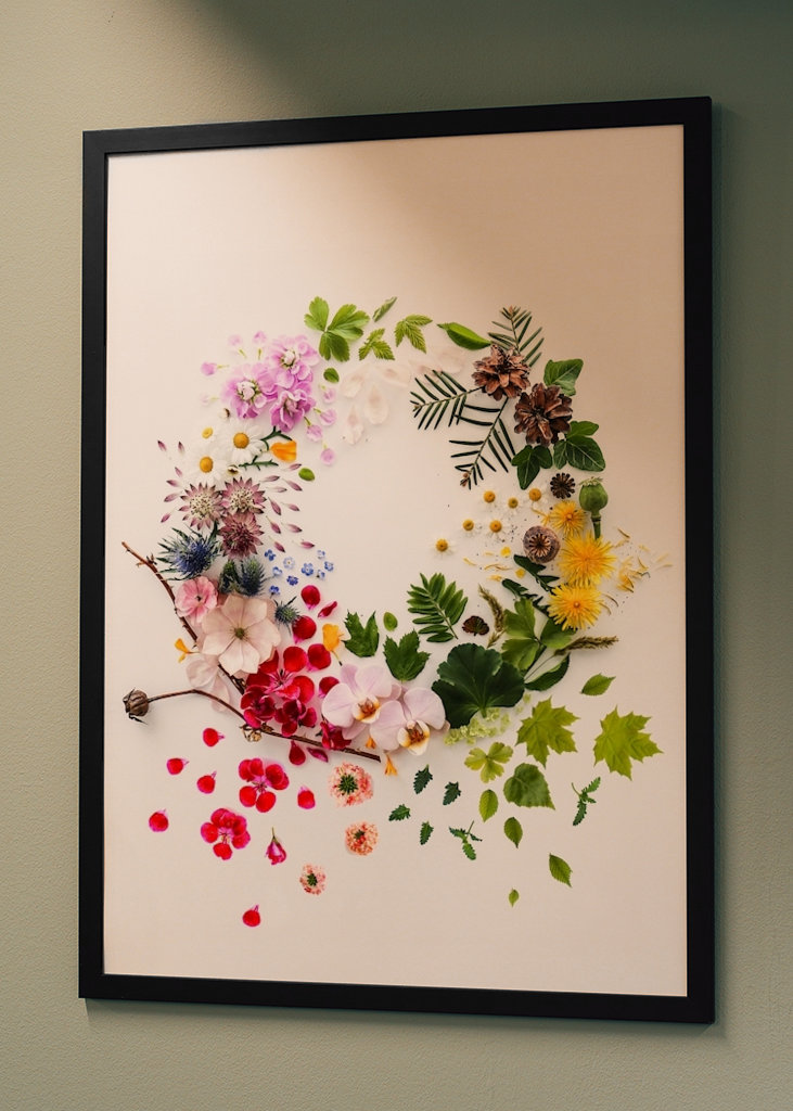 De kroon van de bloem