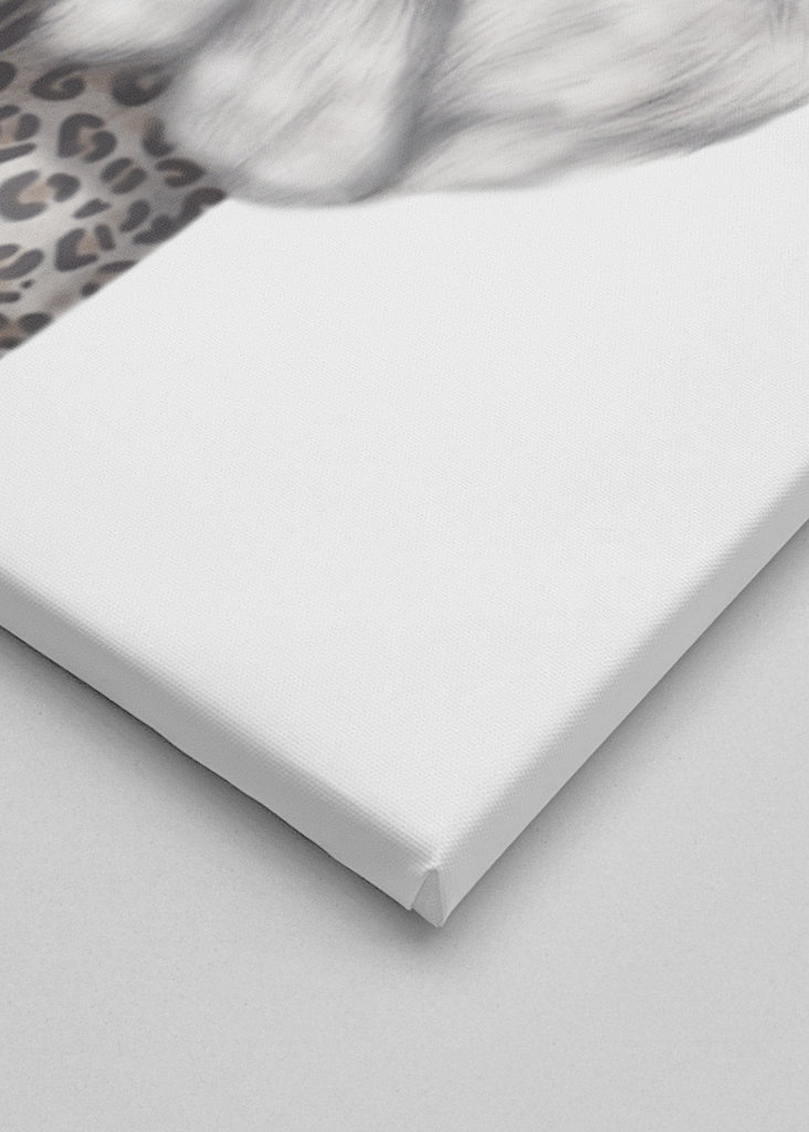 Little Miss Purrfect