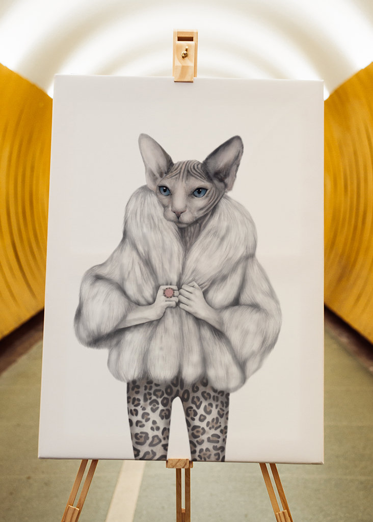 Little Miss Purrfect