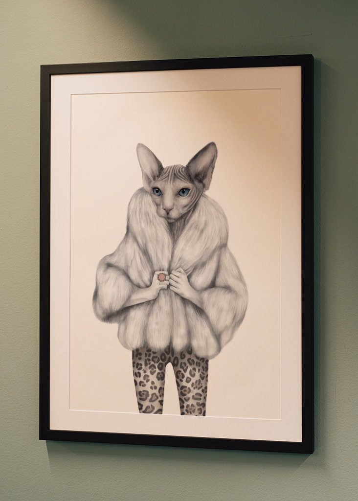 Little Miss Purrfect