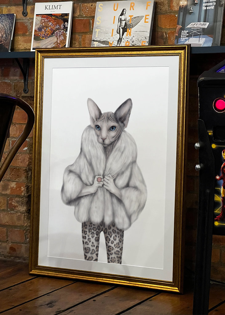 Little Miss Purrfect