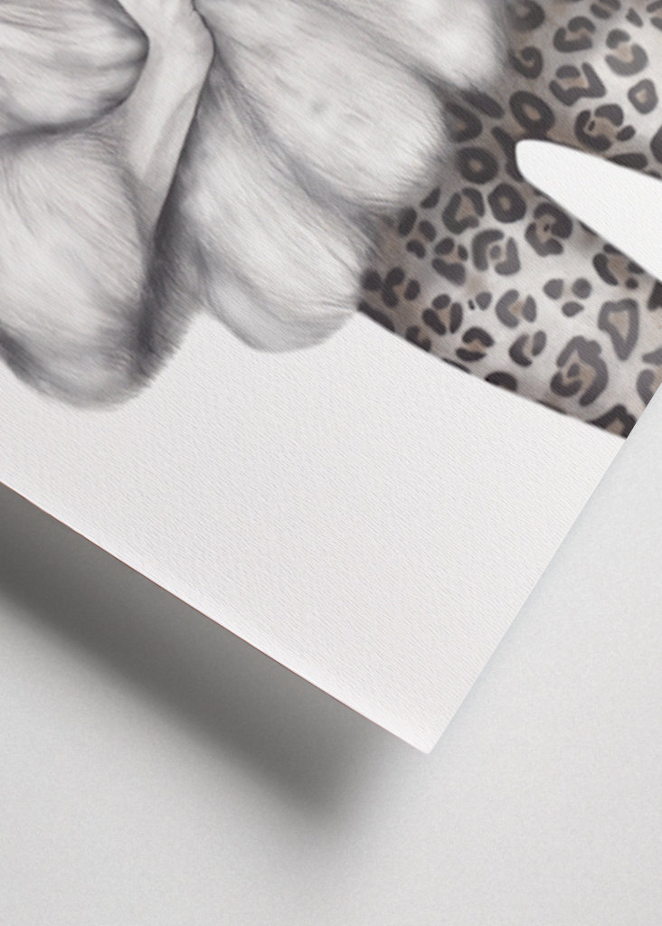 Little Miss Purrfect